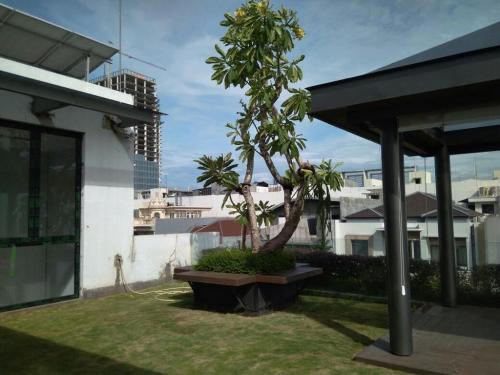 Rooftop Garden 8