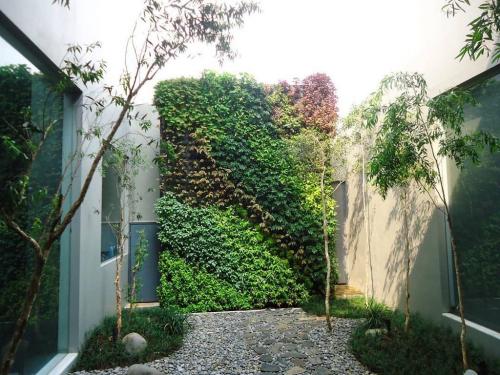 Vertical Garden 4